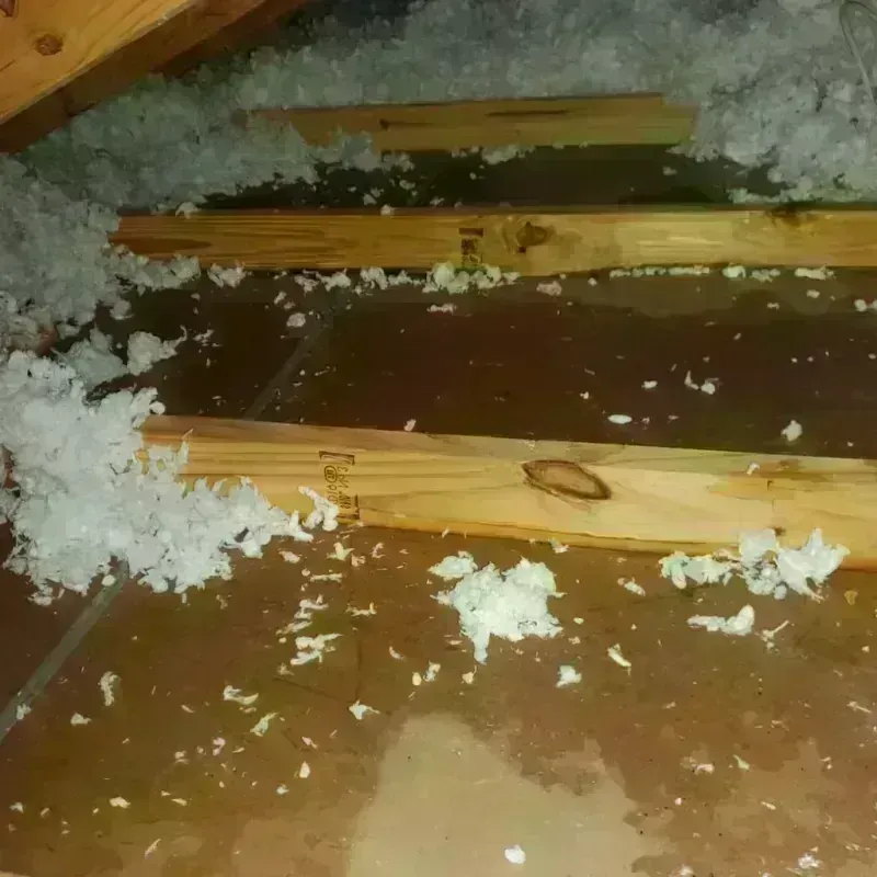 Attic Water Damage in Lynn County, TX