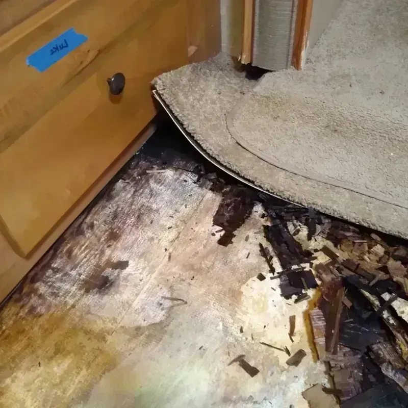 Wood Floor Water Damage in Lynn County, TX